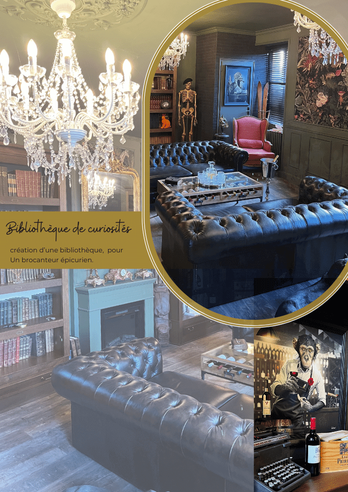 BIBLIOTHEQUE DE CURIOSITE